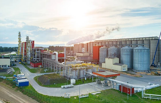 Advantages of biomass electricity