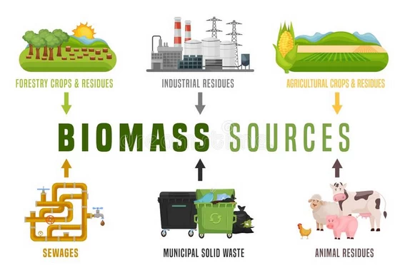 The destiny of biomass electricity